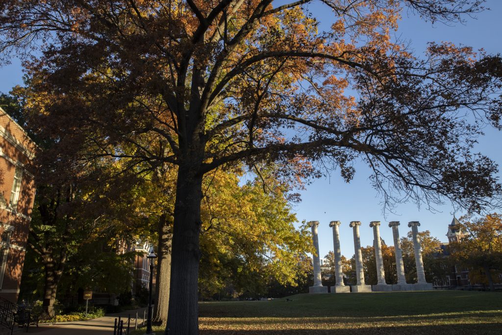 Fall foliage on Mizzou's quad