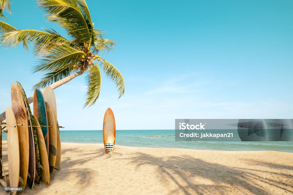 beach with palm trees and wooden surf boards