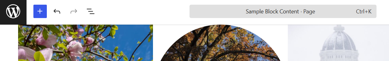 Screenshot of blue add block button at the top left of the editor in WordPress